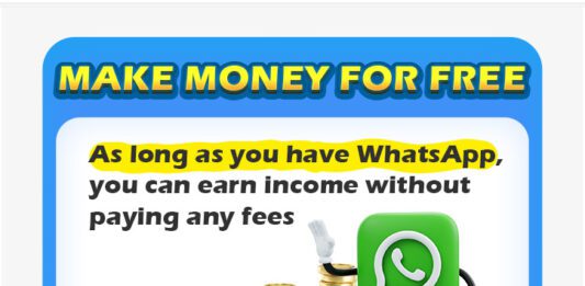 Make money on WhatsApp