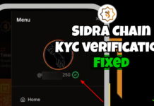 How to Fix Sidra Chain KYC Pending Issues Fast – Step-by-Step Support Ticket Guide