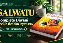 Diwani Sheikh Ibrahim